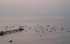 M4100065_MuellePescadores1024.jpg