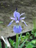 PICT0352.JPG